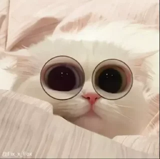 😳