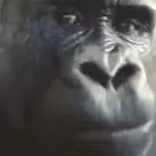 😮