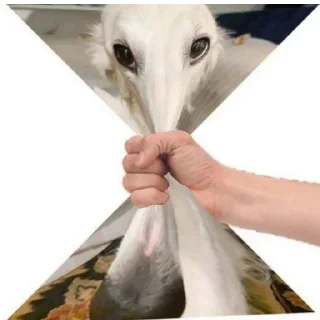 🥴