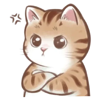 🐱