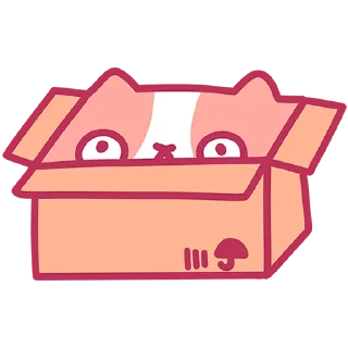 📦