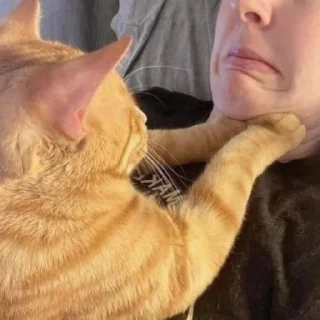 😠