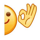 👌