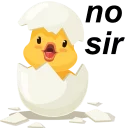 🐥