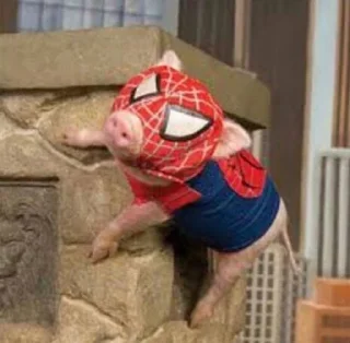 🕷️