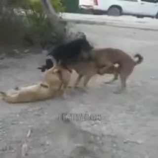 🥵
