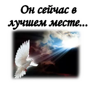 🕊