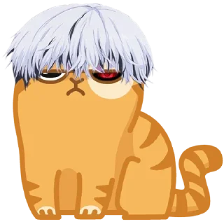 😼