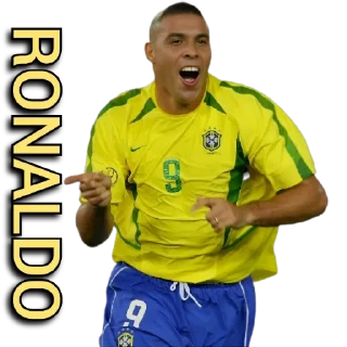 🇧🇷
