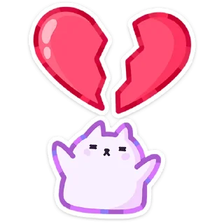 🐱