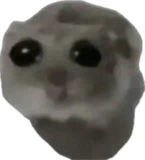 🥺