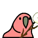 🦜