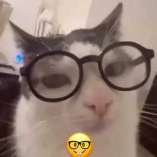 🤓