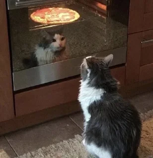 🍕