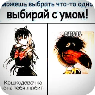 🐶