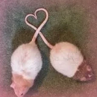 ❤️