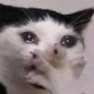 🥹