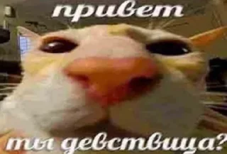 че та типа мемав ваших