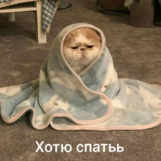 🥱