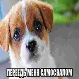 😢