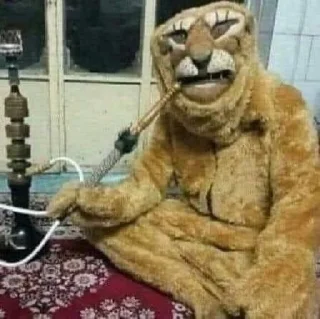 😭