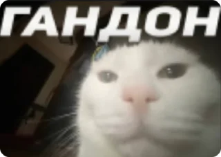 😈