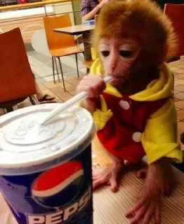 🐒