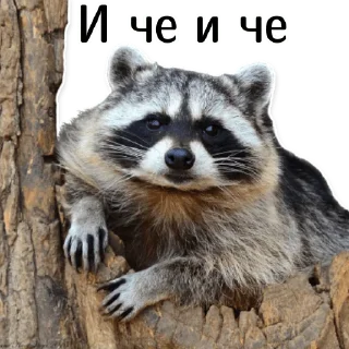 🤔