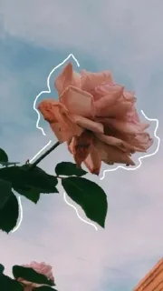 😙