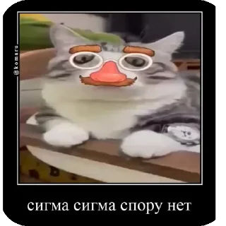 😎