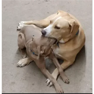 😘