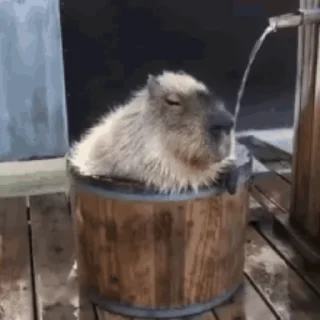 🚿
