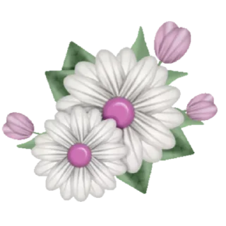 🌼