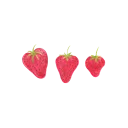 🍓