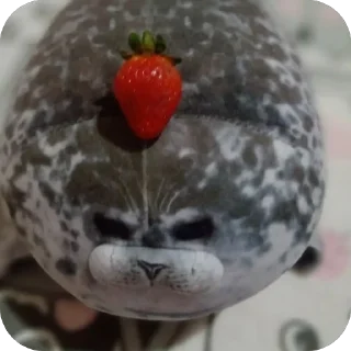 🍓