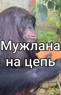 👩