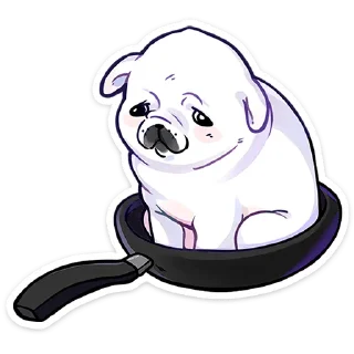 🍳