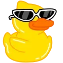 😎