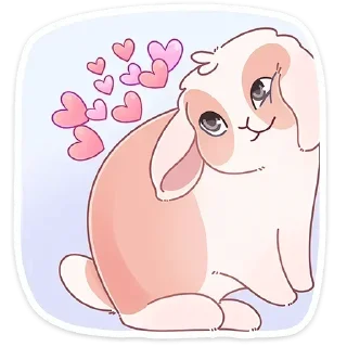 ❤️