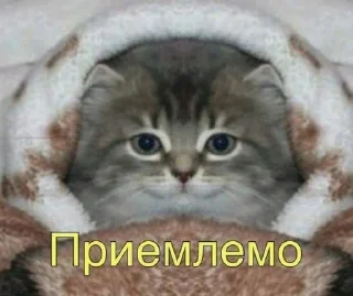 😫