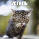 😑