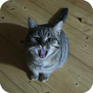 😮
