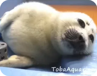 😌