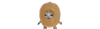 🥝