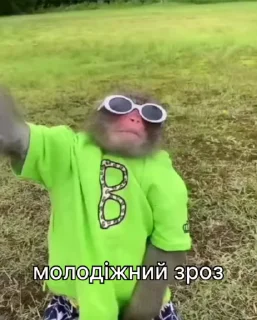 😎