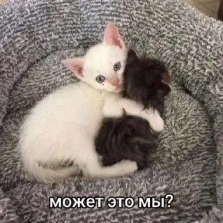 🤗