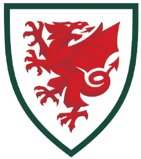 🏴󠁧󠁢󠁷󠁬󠁳󠁿