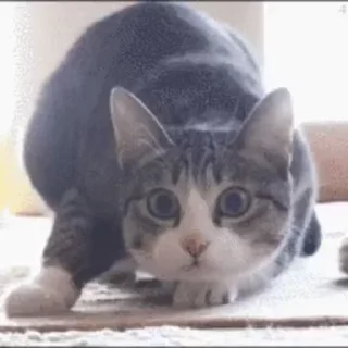 😁