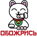 🍚
