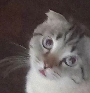 💕